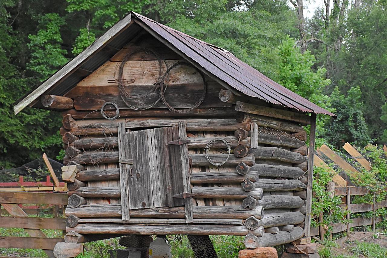 Bed and Breakfast Coulter Farmstead Washington Екстер'єр фото
